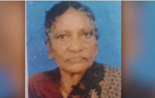 മലക്കപ്പാറയിൽ പുലി ഇറങ്ങി: തമിഴ്നാട് സ്വദേശിനിയായ വയോധികയെ കടിച്ചു കൊന്നു