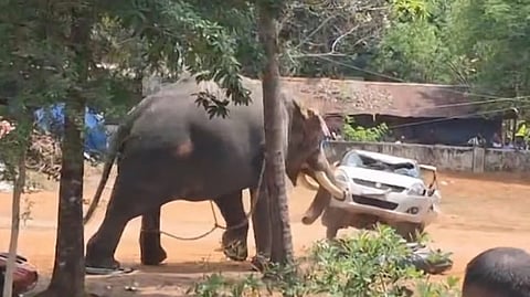കൂടൽമാണിക്യം ഉത്സവത്തിനിടെ ആനയുടെ ആക്രമണം: പാപ്പാൻ കൊല്ലപ്പെട്ടു